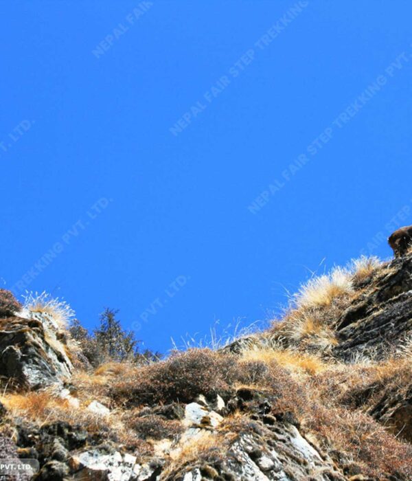 Nepak fair step trekking- mount everest region