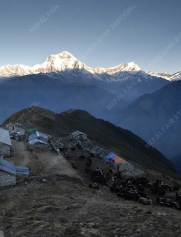 Nepal fair step treks and expedition_Kopra danda