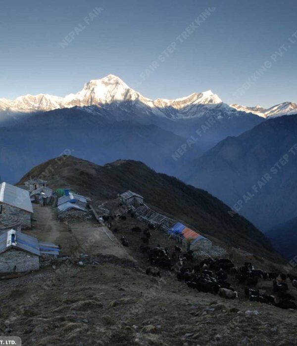 Nepal fair step treks and expedition_Kopra danda