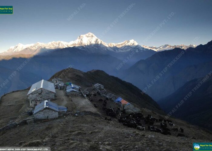 Nepal fair step treks and expedition_Kopra danda