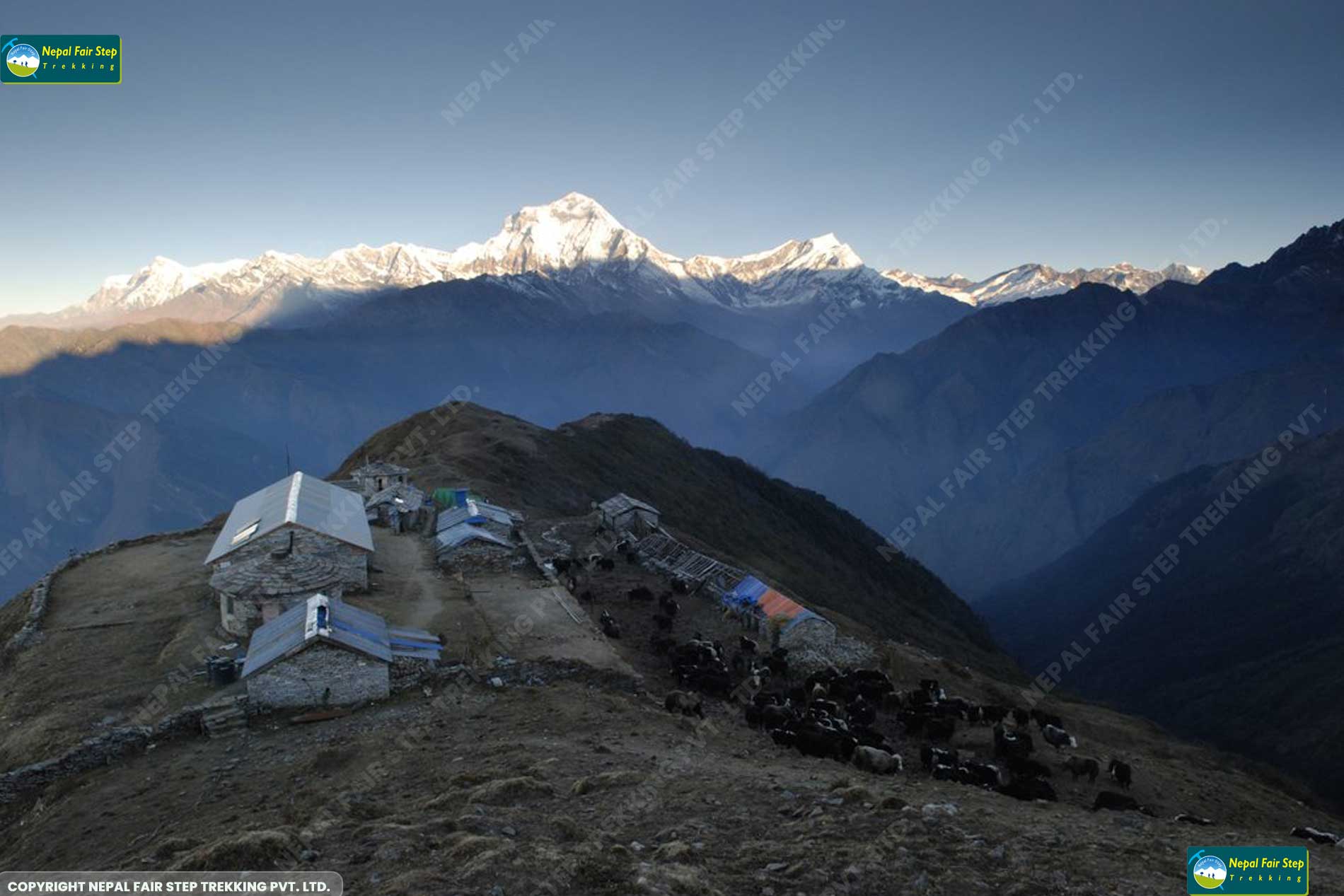 Nepal fair step treks and expedition_Kopra danda